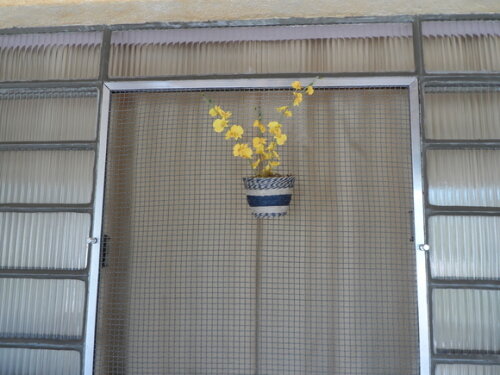 Arranjo Floral em Vaso de Parede