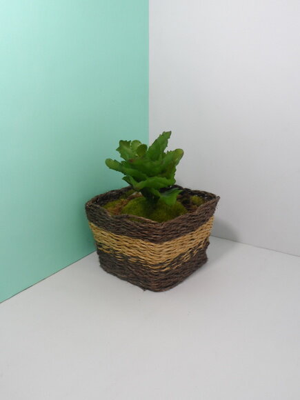 Arranjo Floral em Vaso de Sisal