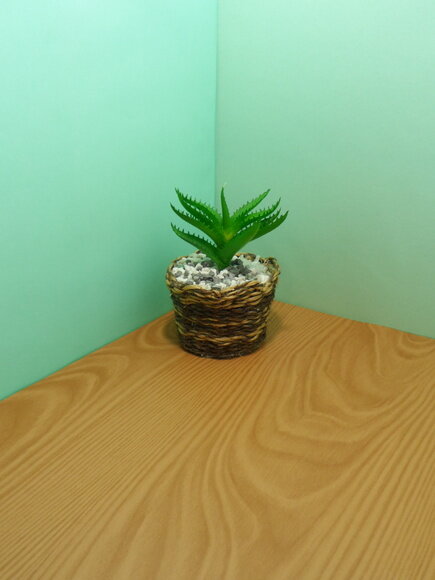 Arranjo Floral em Vaso de Sisal