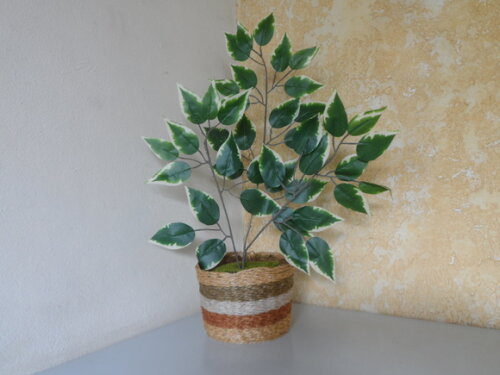 Arranjo Floral em Vaso de Sisal
