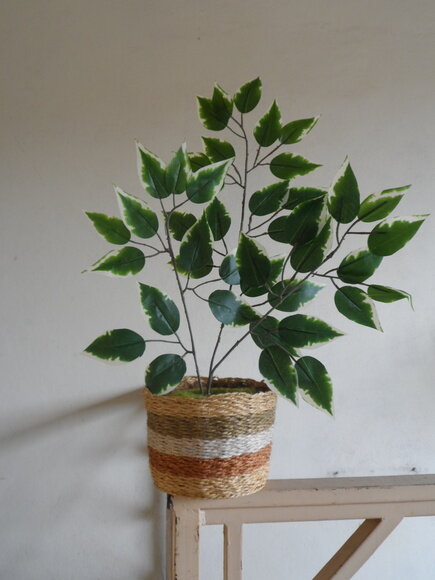 Arranjo Floral em Vaso de Sisal
