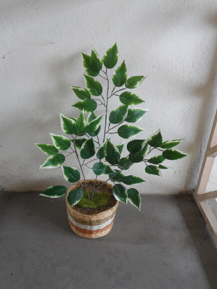 Arranjo Floral em Vaso de Sisal