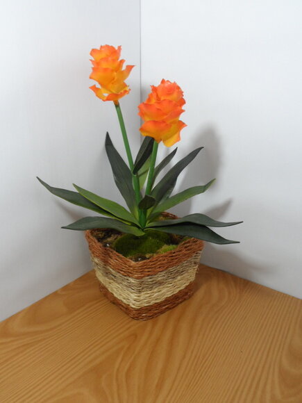 Arranjo Floral em Vaso de Sisal