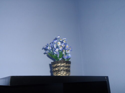 Arranjo Floral em Vaso de Sisal