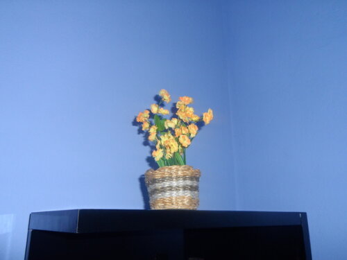 Arranjo Floral em Vaso de Sisal