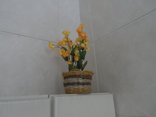 Arranjo Floral em Vaso de Sisal