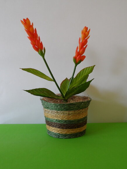 Arranjo Floral em Vaso de Sisal