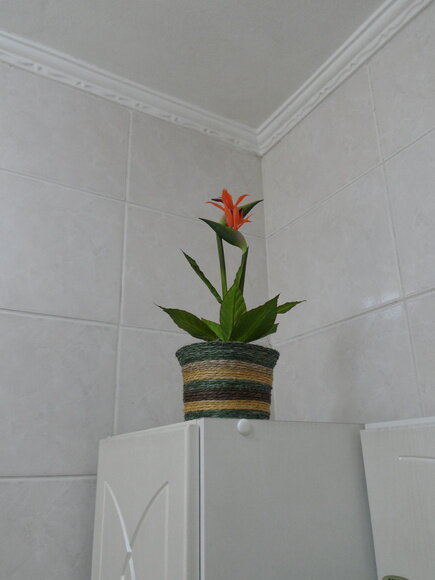 Arranjo Floral em Vaso de Sisal