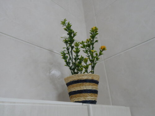 Arranjo Floral em Vaso de Sisal