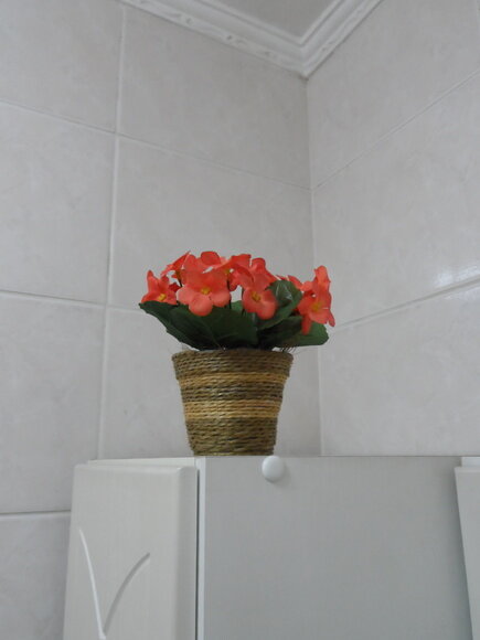Arranjo Floral em Vaso de Sisal