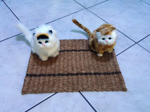Tapete de sisal para gatos