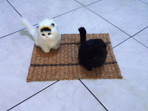 Tapete de sisal para gatos