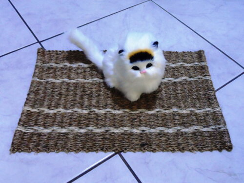Tapete de sisal para gatos