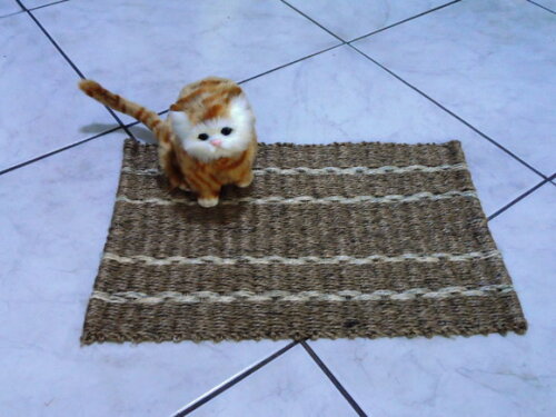 Tapete de sisal para gatos