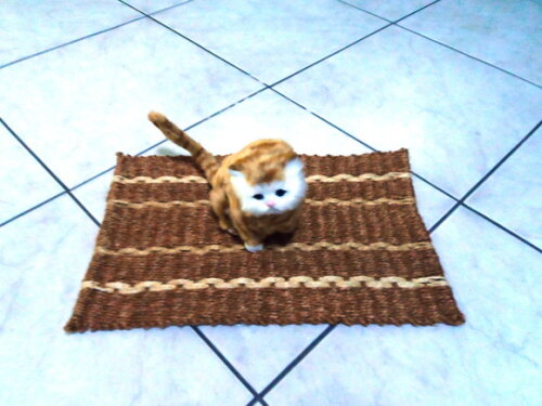Tapete de sisal para gatos