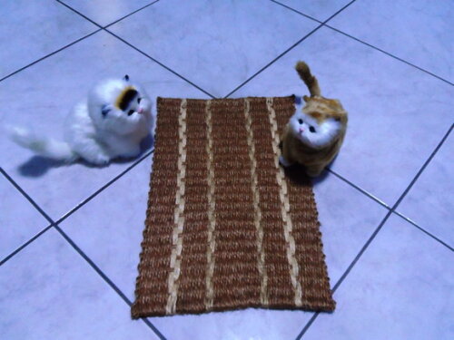 Tapete de sisal para gatos