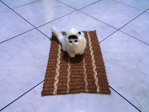 Tapete de sisal para gatos