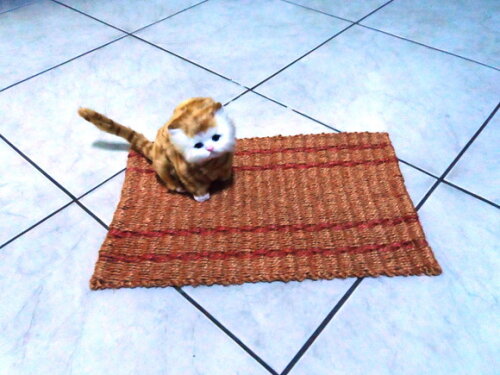 Tapete de sisal para gatos