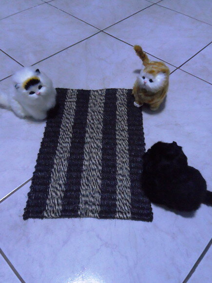 Tapete de sisal para gatos