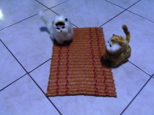Tapete de sisal para gatos