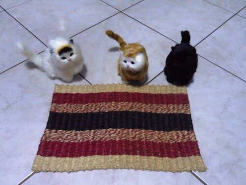 Tapete de sisal para gatos