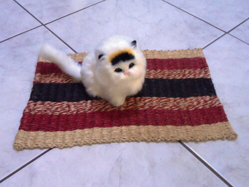 Tapete de sisal para gatos