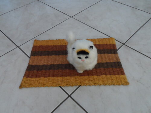 Tapete de Sisal para Gatos
