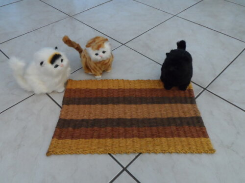 Tapete de Sisal para Gatos