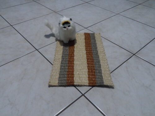 Tapete de Sisal para Gatos