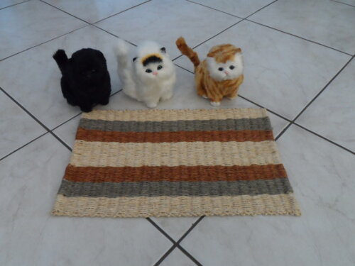 Tapete de Sisal para Gatos