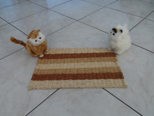 Tapete de Sisal para Gatos
