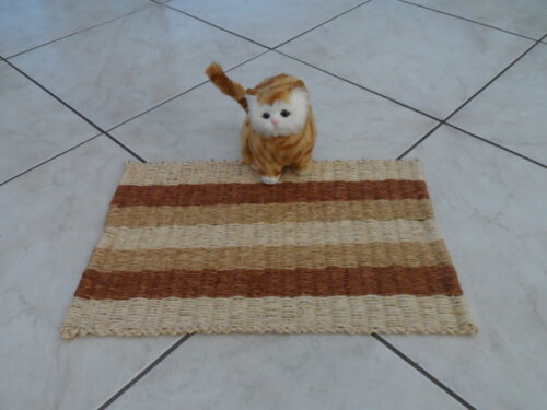 Tapete de Sisal para Gatos