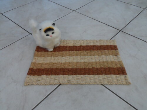Tapete de Sisal para Gatos