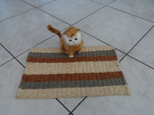 Tapete de Sisal para Gatos