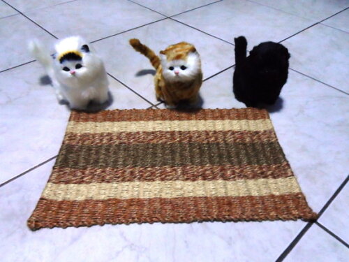 Tapete de Sisal para Gatos