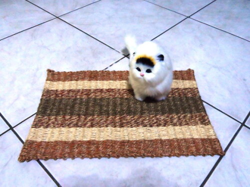 Tapete de Sisal para Gatos