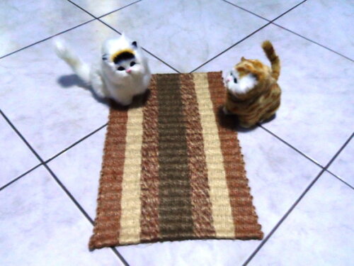 Tapete de Sisal para Gatos