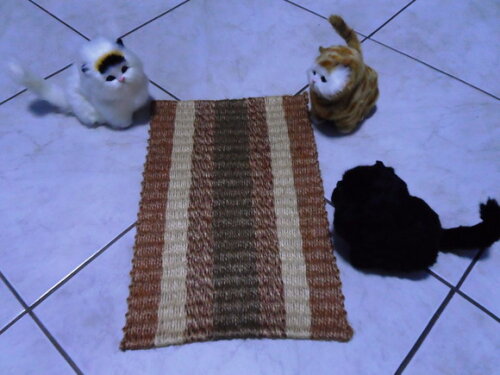Tapete de Sisal para Gatos