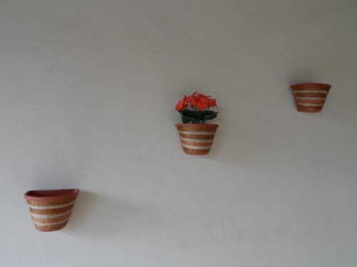 Vaso Parede Decorado com Sisal