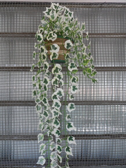 Vaso Parede Decorado com Sisal