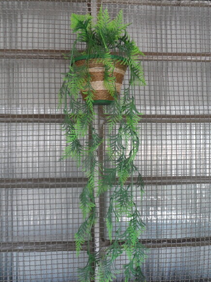 Vaso Parede Decorado com Sisal