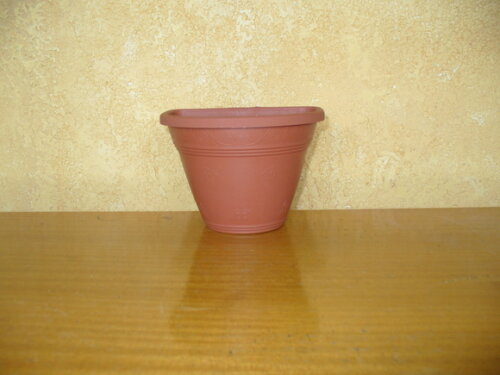 Vaso Parede Decorado com Sisal