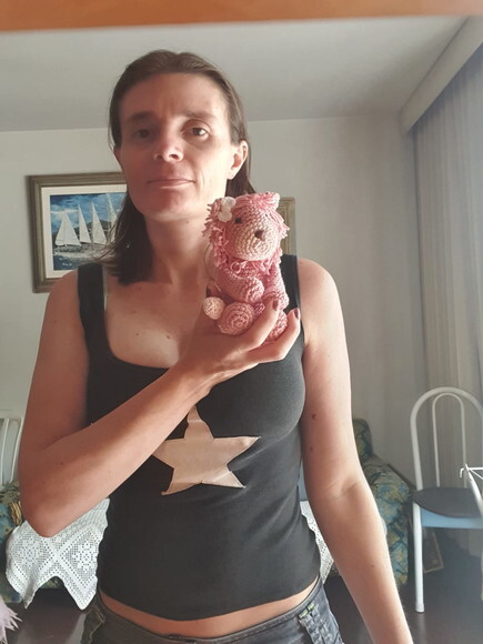Leão Rosa Amigurumi
