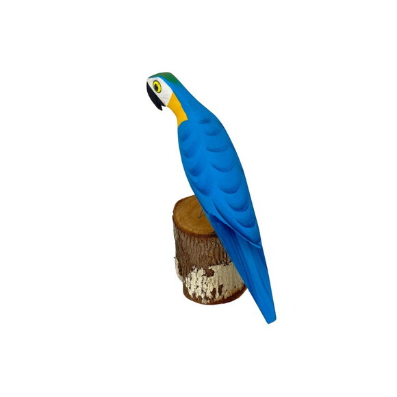 Arara no Toquinho - Azul c/ Amarelo - Madeira