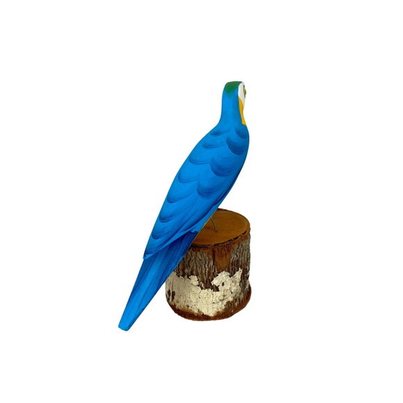 Arara no Toquinho - Azul c/ Amarelo - Madeira