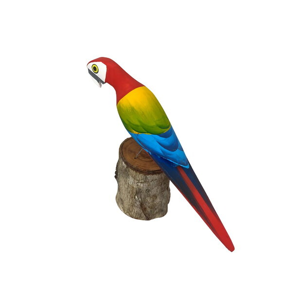 Arara no Toquinho - Vermelha - Madeira