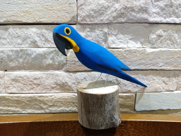 Arara no Toquinho - Azul Rio - Madeira