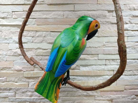 Papagaio de Galho P - Madeira