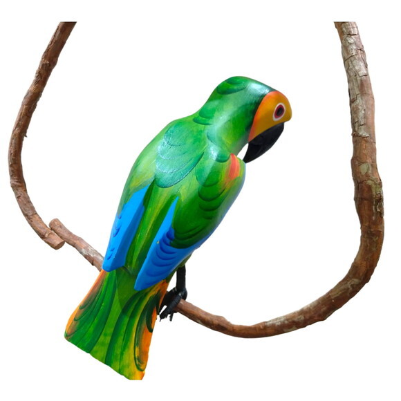 Papagaio de Galho Pp - Madeira