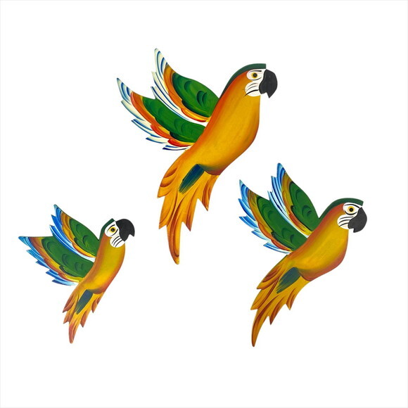 Trio de Arara Asa